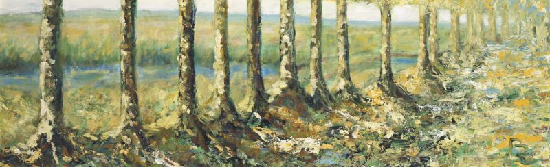 Karelische Weite und Birken